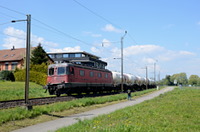 Re 6/6 11610 mit dem Holcim-Zug bei Bottighofen