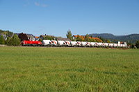 Der Holcim-Zug auf der KBS 769 bei Endingen